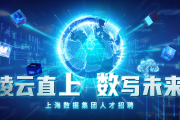 上海招聘数据分析，上海数据公司招聘