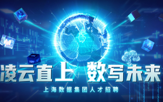上海招聘数据分析，上海数据公司招聘